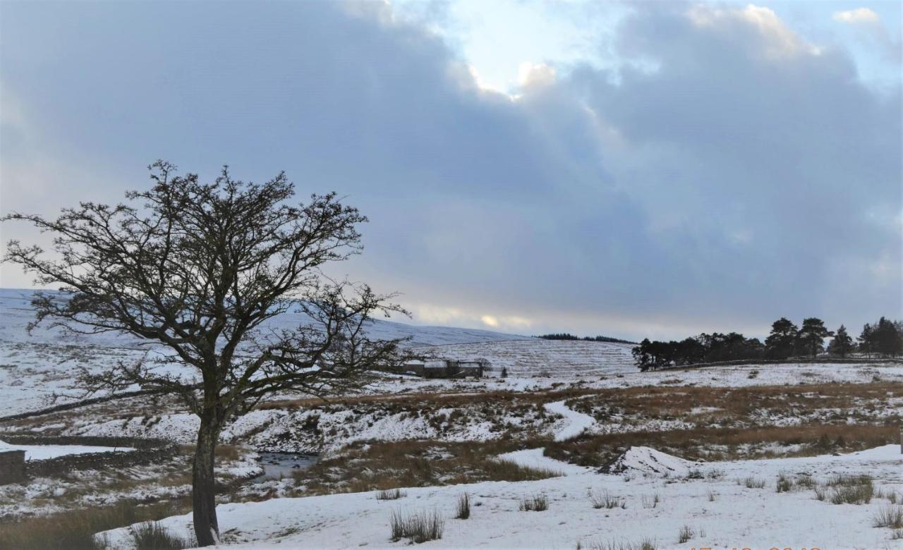 The Garsdale Bed & Breakfast - Goats And Oats At Garsdale ฮอว์ส ภายนอก รูปภาพ